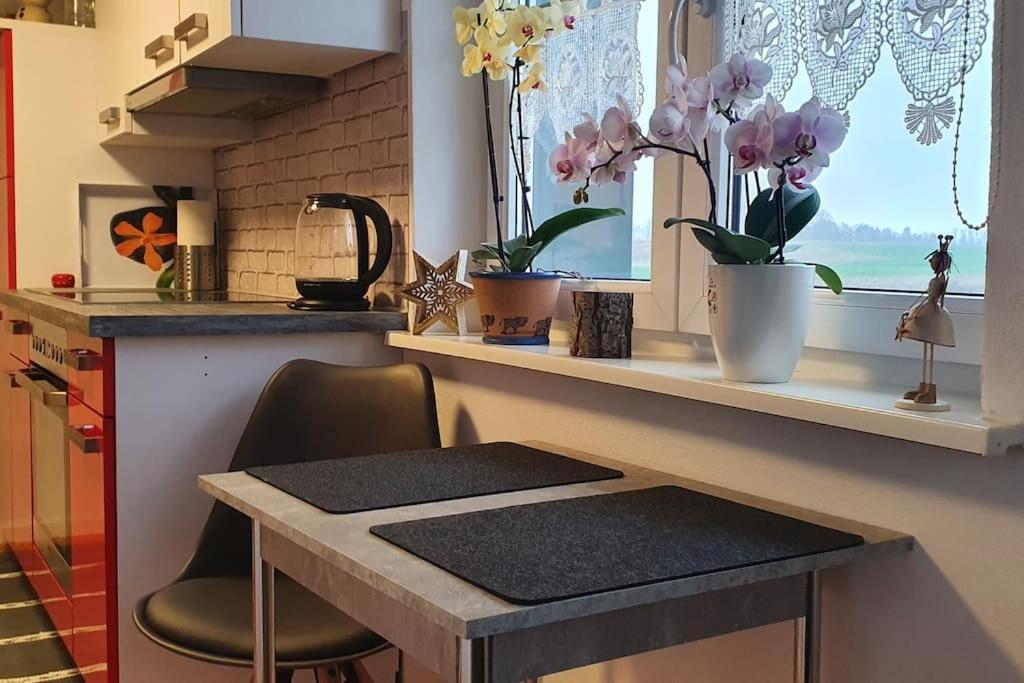 Appartement Kleine Auszeit à Lauben  Extérieur photo